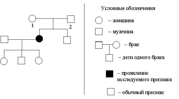 Рисунок к заданию 4