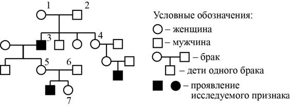 Рисунок к заданию 28