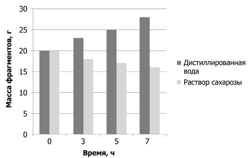 Рисунок к заданию 23