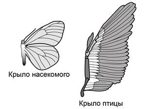Рисунок к заданию 20