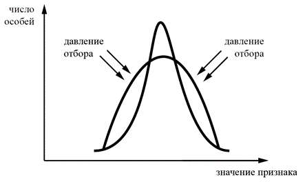 Рисунок к заданию 20