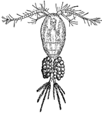 Рисунок к заданию 9