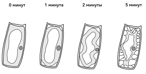 Рисунок к заданию 23