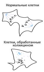 Рисунок 2 к заданию 23