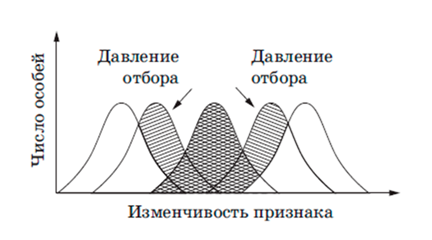 Рисунок к заданию 20