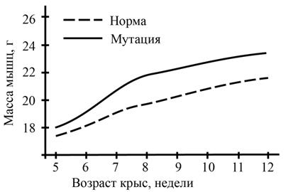 Рисунок к заданию 21