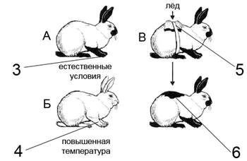 Рисунок 2 к заданию 6