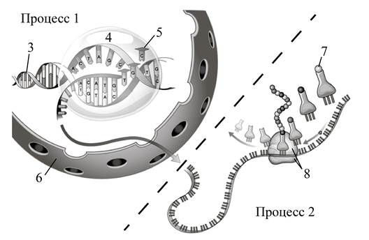 Рисунок к заданию 14