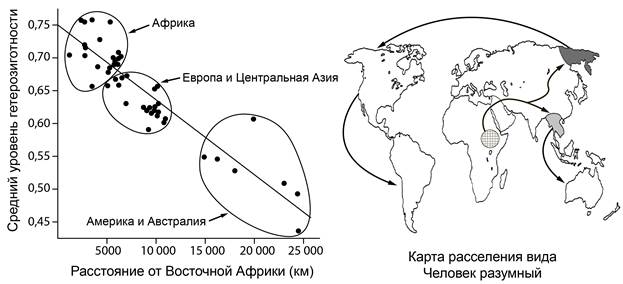 Рисунок к заданию 25