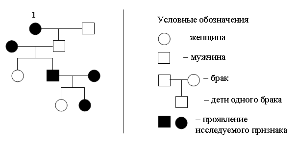 Рисунок к заданию 4