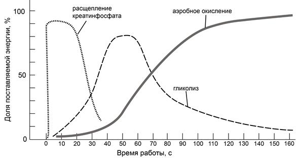 Рисунок к заданию 25