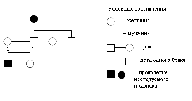 Рисунок к заданию 4