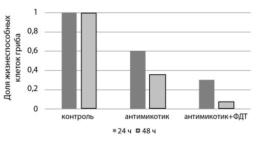 Рисунок к заданию 22