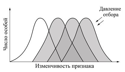 Рисунок к заданию 20