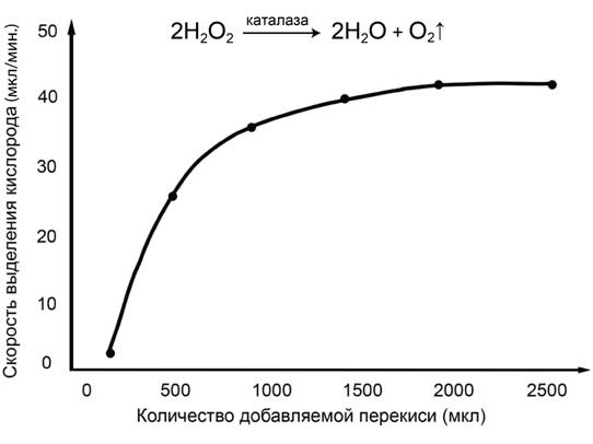 Рисунок к заданию 23