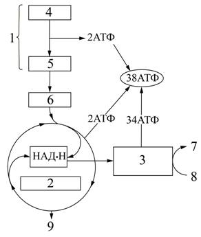 Рисунок к заданию 5