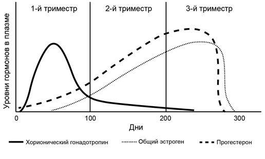 Рисунок к заданию 21