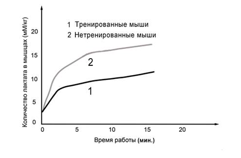 Рисунок к заданию 22