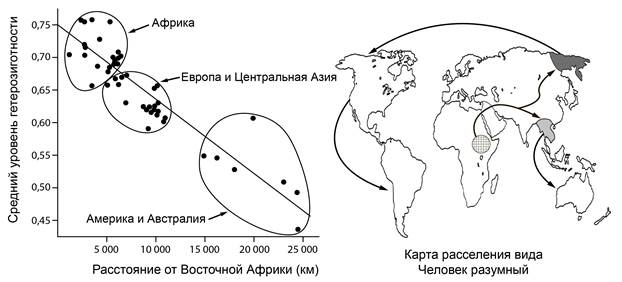 Рисунок к заданию 26