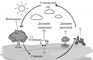 Рисунок 2 к заданию 1