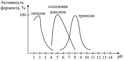 Рисунок к заданию 21
