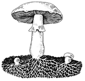 Рисунок 3 к заданию 9