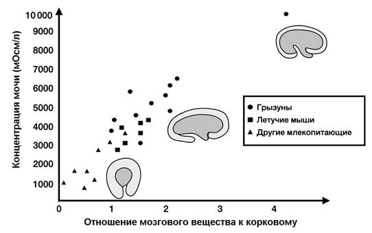 Рисунок к заданию 25