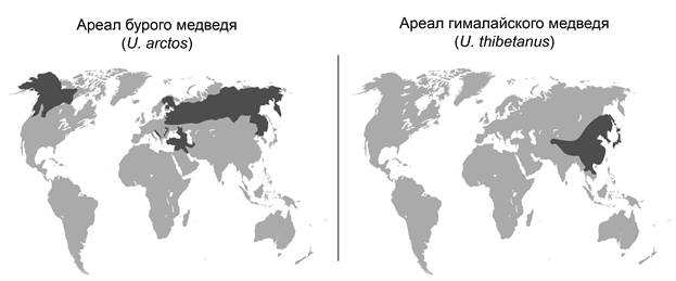 Рисунок к заданию 26