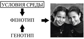 Рисунок к заданию 1