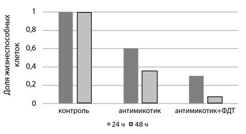 Рисунок к заданию 23