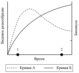 Рисунок к заданию 26