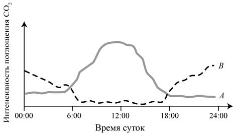 Рисунок к заданию 26
