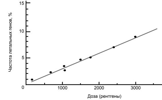 Рисунок к заданию 23