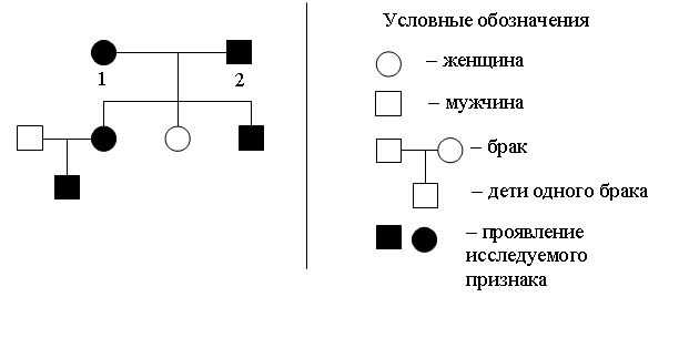 Рисунок к заданию 4
