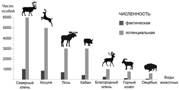 Рисунок к заданию 21