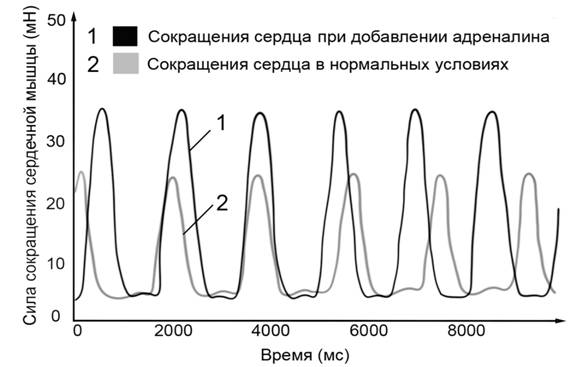 Рисунок к заданию 22